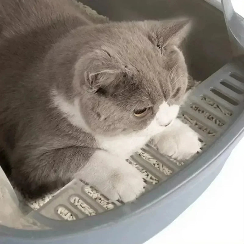 Open Cat Litter Box: High Sided, Splashproof, Durable & Easy to Clean!